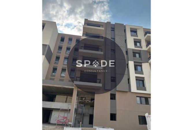 62399695 - Property Image 3