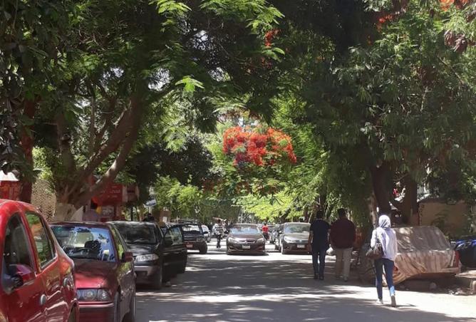 8631801 - صورة العقار 3