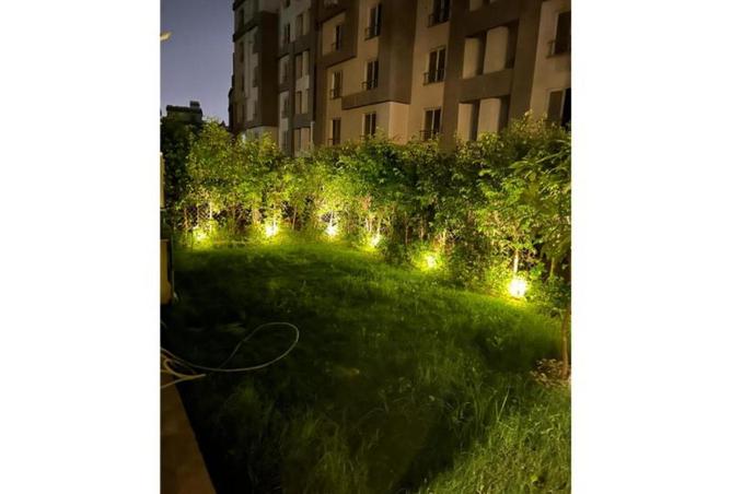 58244215 - صورة العقار 3