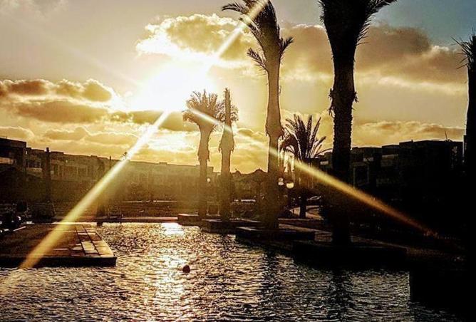 67476963 - صورة العقار 3