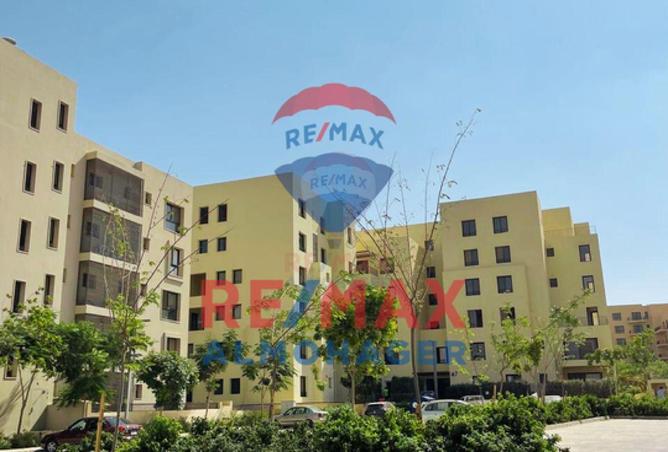 8667638 - Property Image 3