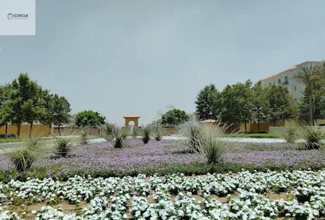 104880174 - Property Main Image