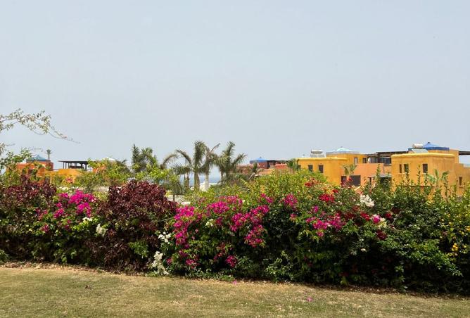 91857306 - صورة العقار 3