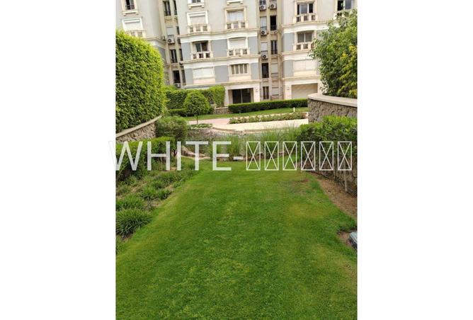 75685937 - Property Image 3