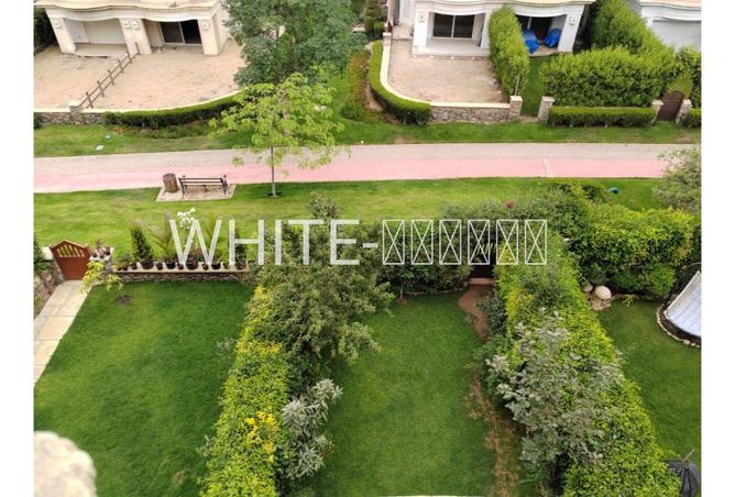 75685937 - Property Image 2
