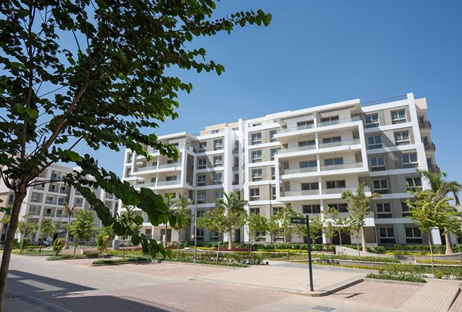 93521655 - Property Image 2