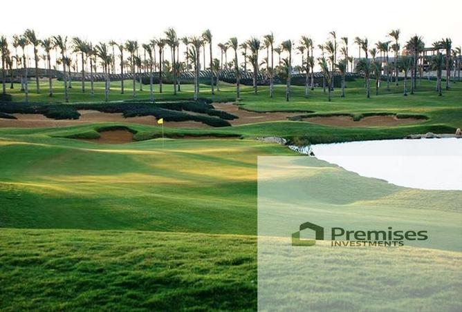 66968003 - Property Image 3