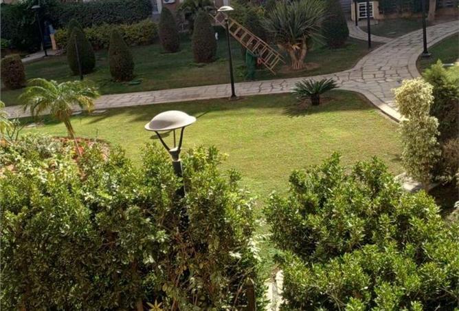 56504582 - Property Image 2