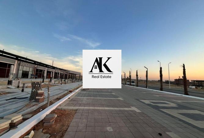 8610594 - Property Image 3