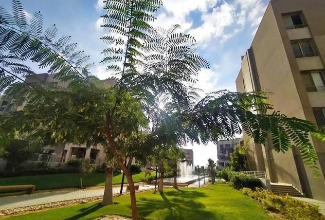 8535624 - Property Image 3