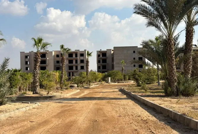 111586561 - صورة العقار 3