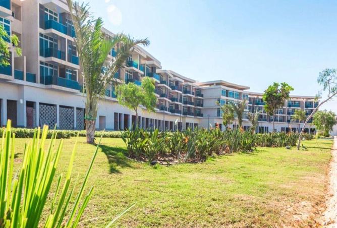 53470151 - Property Image 3