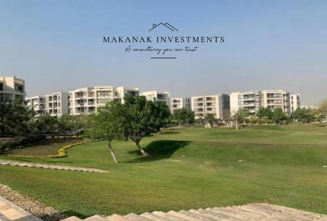 65918374 - Property Image 3