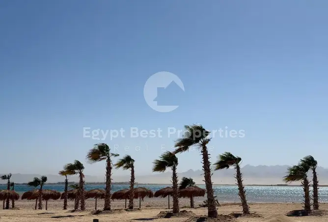 115176622 - صورة العقار 2