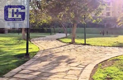 Apartment - 3 Bedrooms - 2 Bathrooms for rent in B1 - Madinaty - Cairo