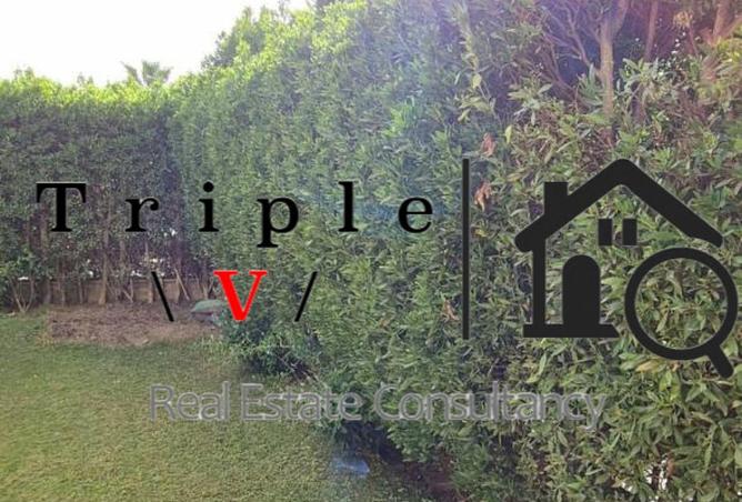 66694647 - الصورة الرئيسية للعقار