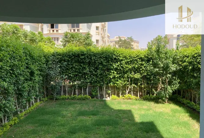 109638464 - Property Image 2
