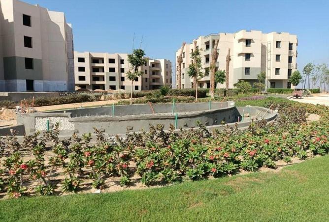 55009174 - الصورة الرئيسية للعقار