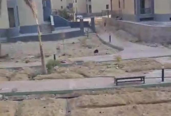 8715405 - Property Image 2