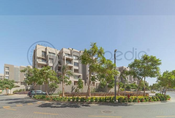 53981390 - Property Image 3