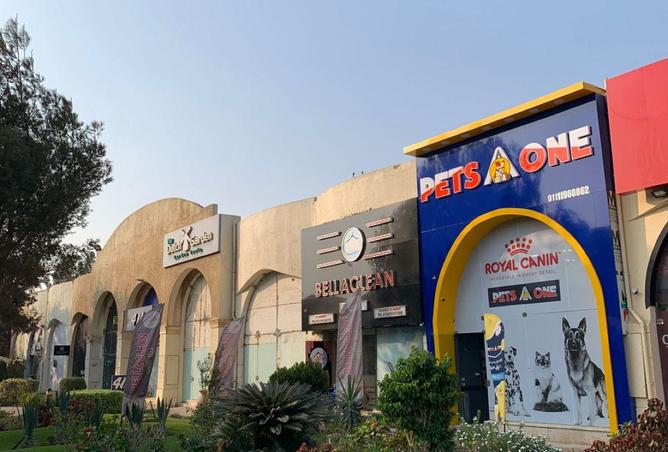 76515271 - صورة العقار 3