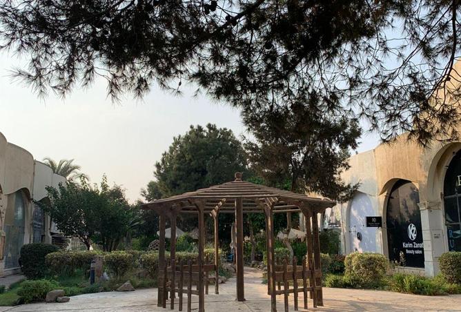 76515271 - صورة العقار 2