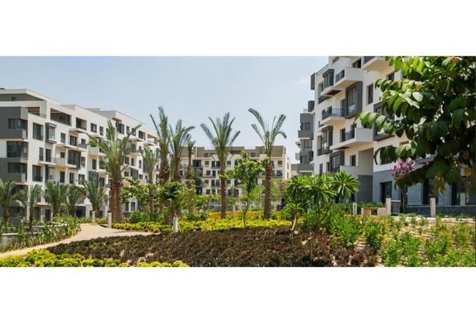 57496250 - صورة العقار 3