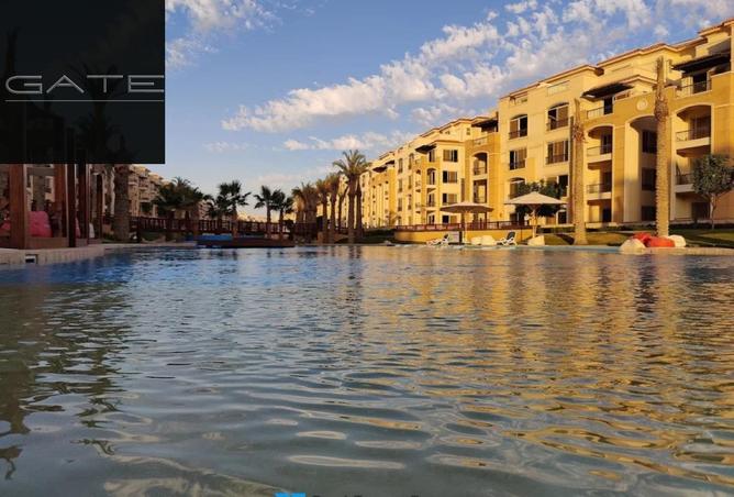 74563623 - Property Image 3