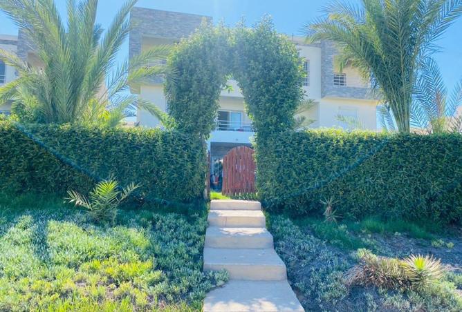 56256397 - صورة العقار 3