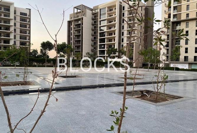 56004427 - Property Image 3