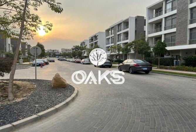 66430997 - Property Image 3