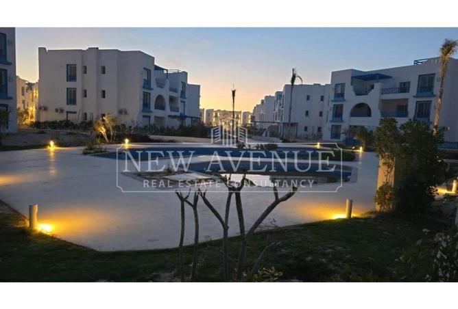 98824044 - Property Image 3