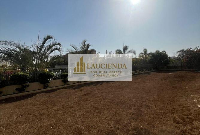 62172051 - Property Image 3