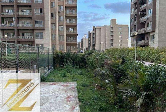 57487958 - Property Image 3