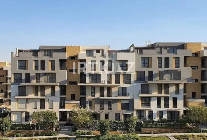 118033787 - Property Image 2