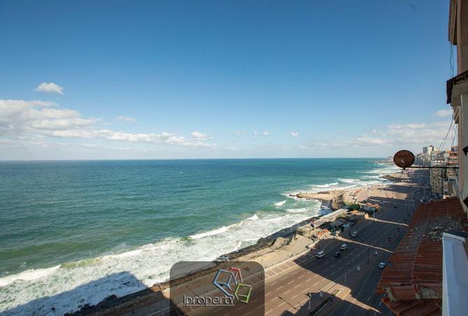 56241066 - Property Image 2