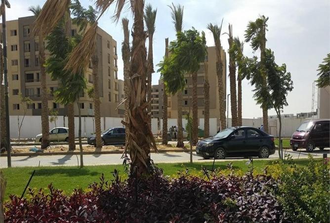 8479228 - صورة العقار 2