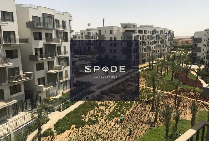 8594117 - صورة العقار 3