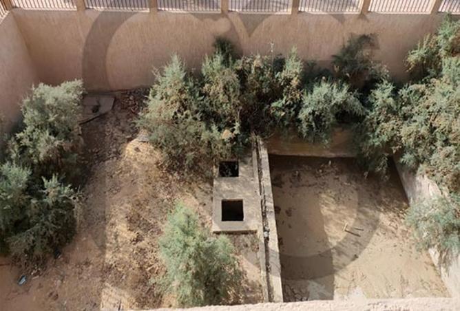 69312056 - صورة العقار 3