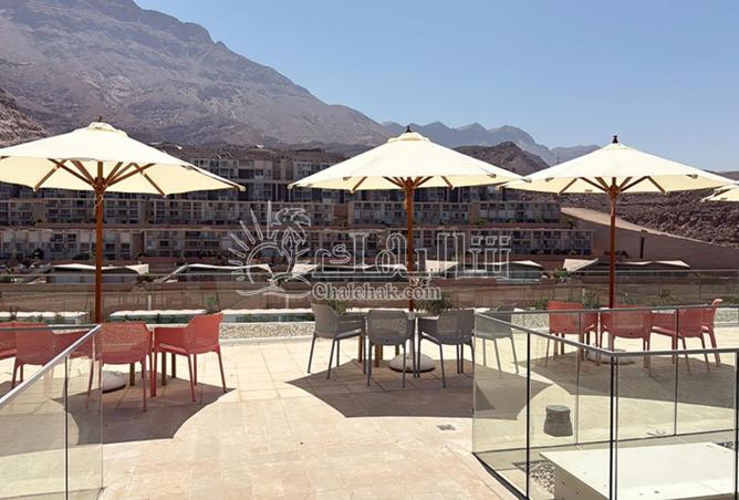 59240977 - Property Image 2