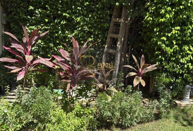 62164689 - Property Image 2