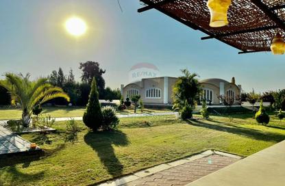 فيلا - 4 غرف نوم - 4 حمامات للايجار في افق - طريق مصر اسكندرية الصحراوي - مدينة 6 أكتوبر - الجيزة فيلا - 4 غرف نوم - 4 حمامات للايجار في افق - طريق مصر اسكندرية الصحراوي - مدينة 6 أكتوبر - الجيزة