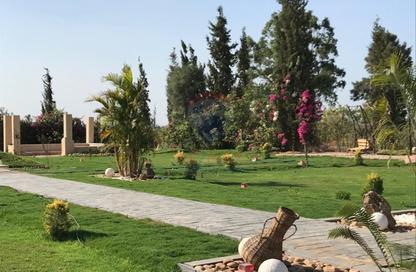 فيلا - 4 غرف نوم - 4 حمامات للايجار في افق - طريق مصر اسكندرية الصحراوي - مدينة 6 أكتوبر - الجيزة فيلا - 4 غرف نوم - 4 حمامات للايجار في افق - طريق مصر اسكندرية الصحراوي - مدينة 6 أكتوبر - الجيزة