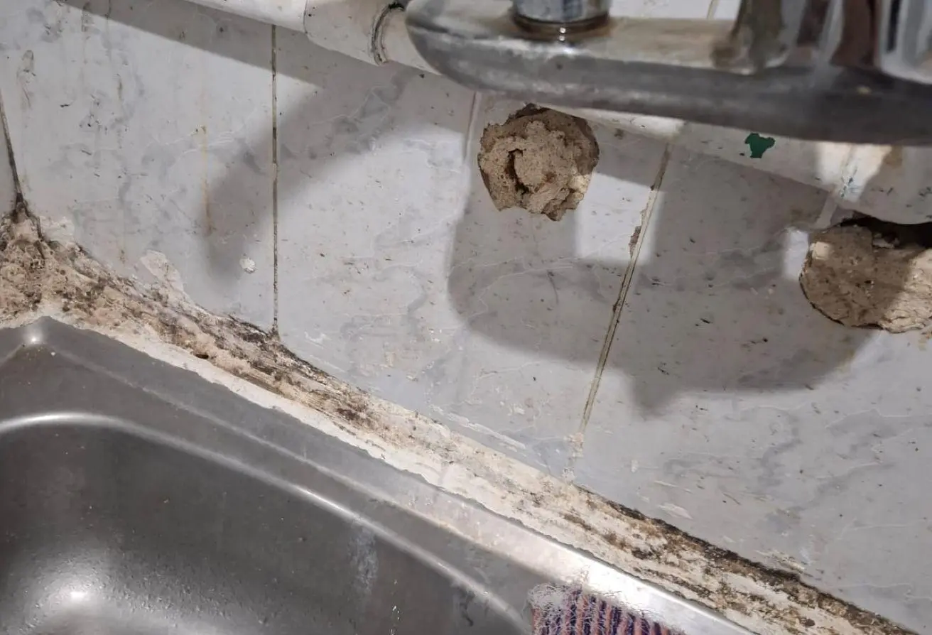 83682937 - Property Main Image