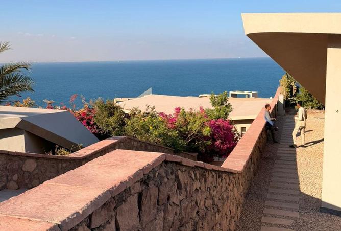 56497974 - Property Image 2