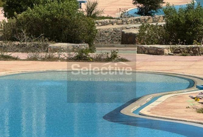 98839145 - Property Image 2