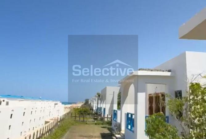 98839145 - Property Image 3