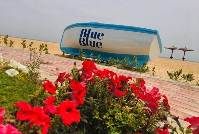 56505567 - Property Image 3