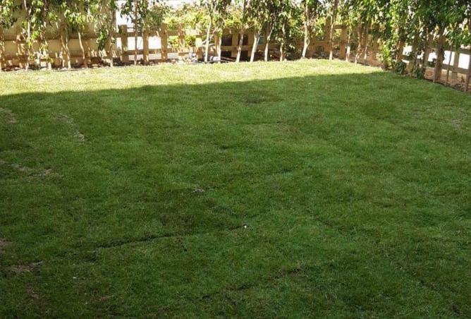 62647903 - Property Main Image