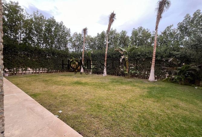 71919256 - صورة العقار 3